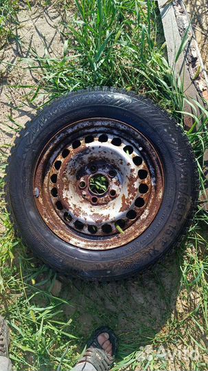 R15 Gislaved Nord Frost 200 205/65, PCD 5x112 DIA 66.1