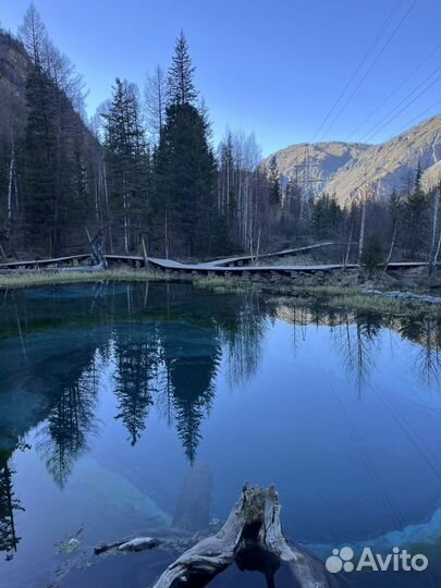 Тур Путешествие на Алтай