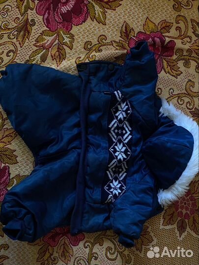 Костюм для собаки