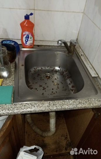 Уничтажения тараканов клопов клещей мышей