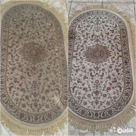 Аренда моющего пылесоса Thomas Bravo