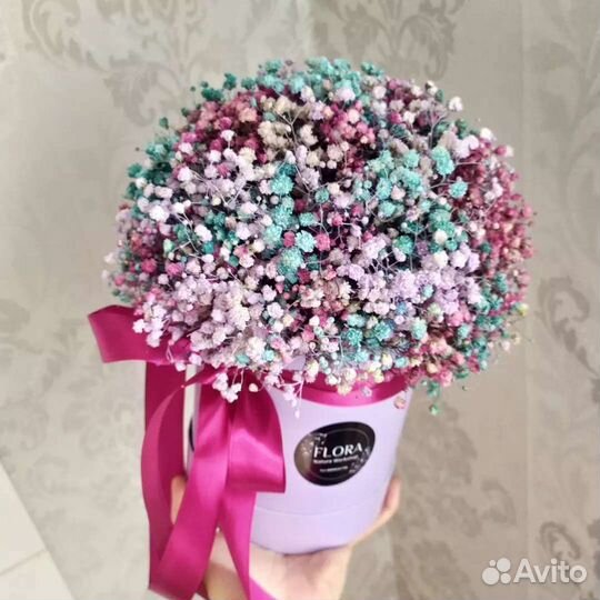 Гипсофила в коробке