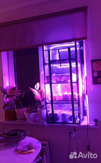 Парник для рассады на подоконник