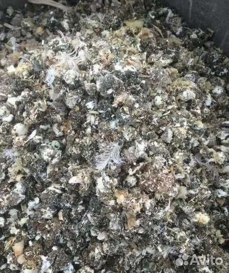 Продам куриный помет