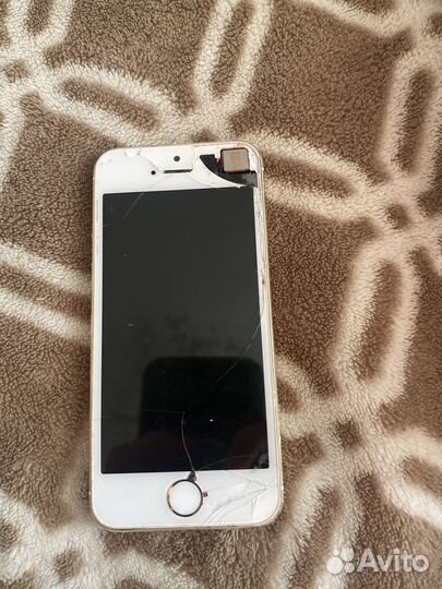 iPhone 5 s