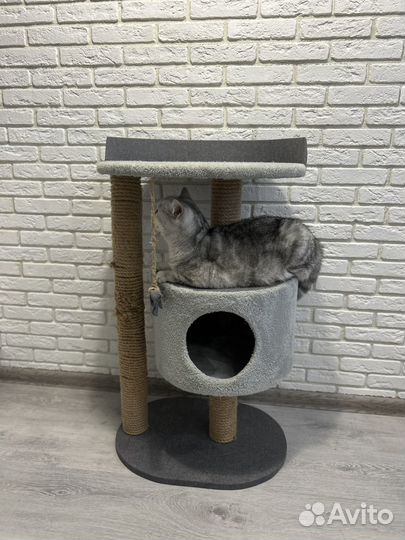 Продаю домик для кошек с когтеточкой