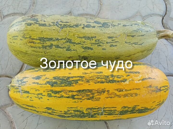 Зимние кабачки