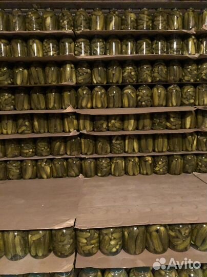 Огурцы соленые