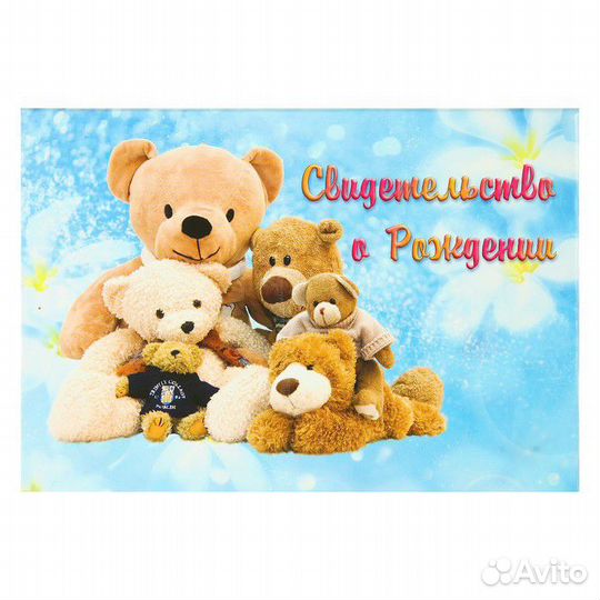 Папка для свидетельства о рождении(новая)