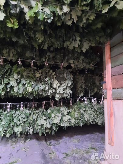 Веники для бани