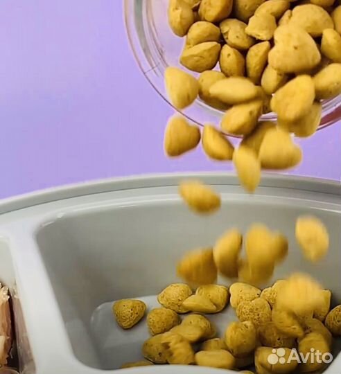 Автоматическая кормушка для собак и кошек