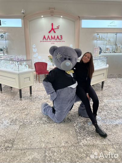 Услуга аниматора Поздравление Мишки Тедди