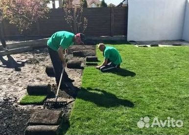 Газон от производителя