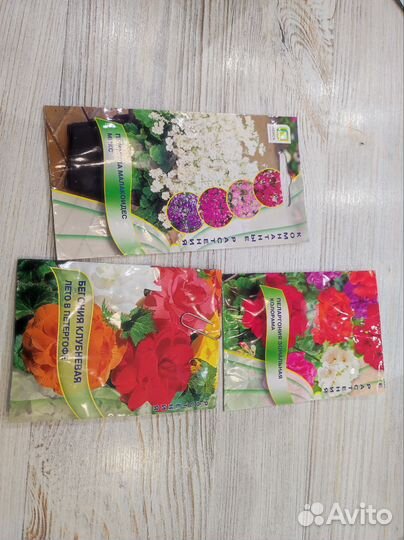 Семена цветов