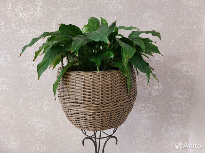 Кашпо из ротанга