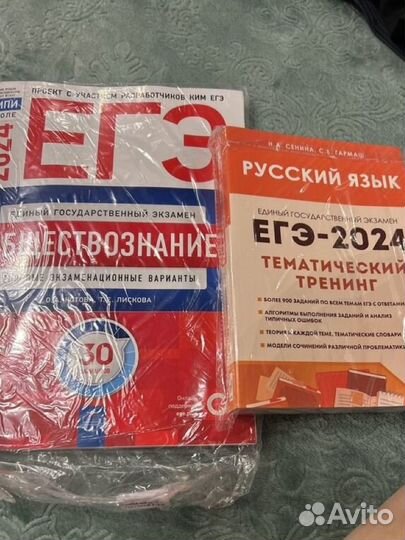 Егэ русский язык 2024