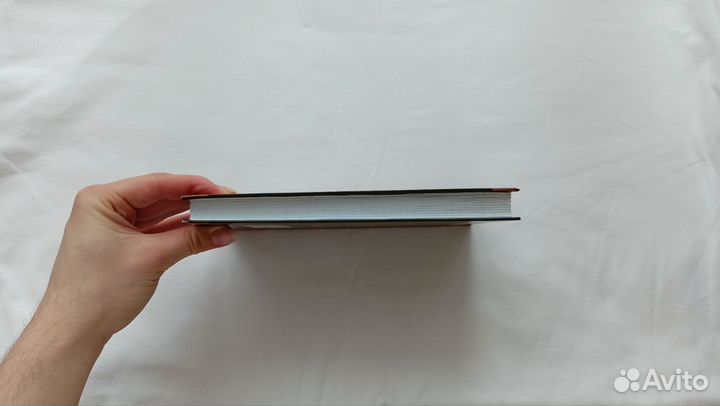 Книга Коты воители «Стань диким»