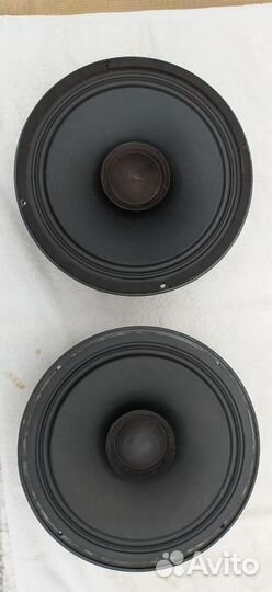 Широкополосники