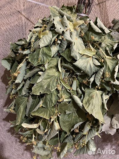 Веники для бани липовые