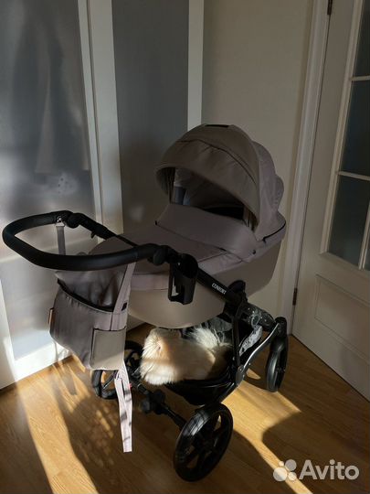 Коляска Pituso Confort plus 2в1