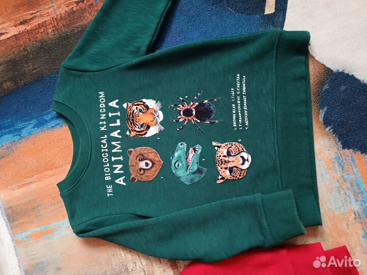 Толстовка, Свитшот, Лонги, 104