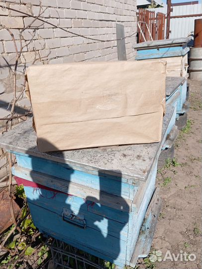 Улей для пчел ППУ