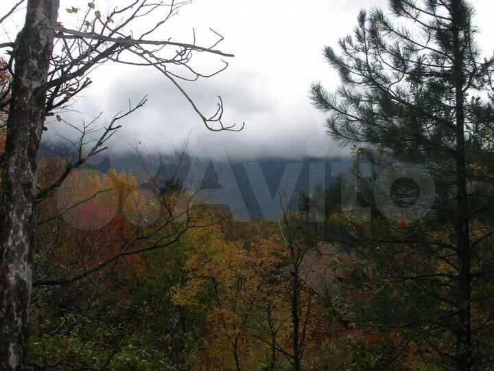 Участок 45 сот. (ИЖС)