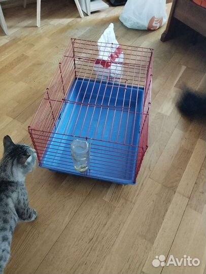 Клетка для грызунов большая