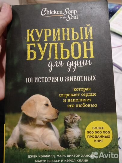 Книга Куриный бульон для души
