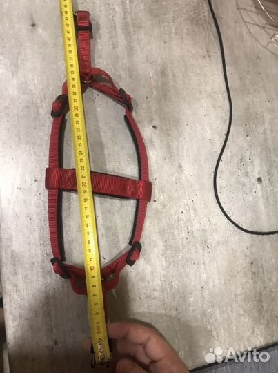 Шлейка для собаки