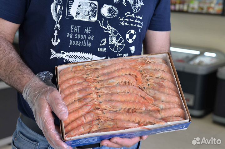 Креветки, мидии, лангустины, морепродукты опт