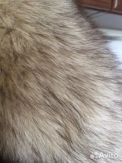 Куртка джинсовая