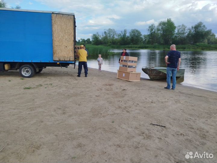 Грузоперевозки газель/грузоперевозки с грузчиками