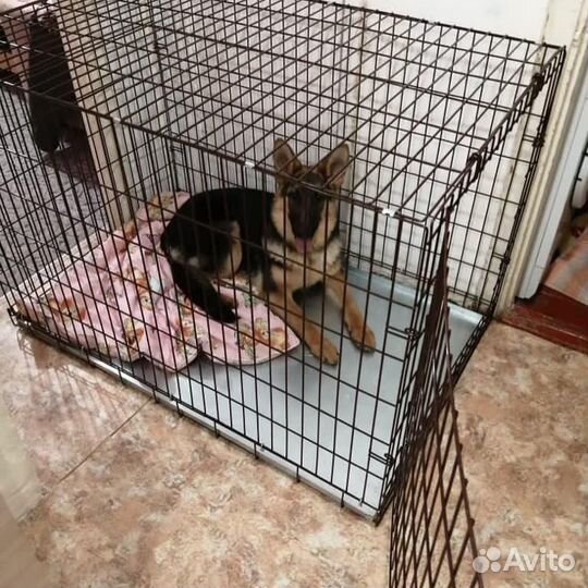 Клетка для собак