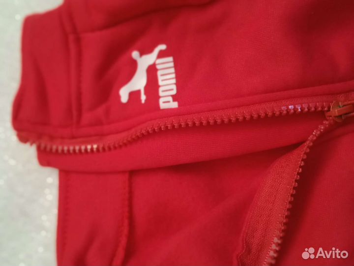 Одежда для небольших собак, толстовка