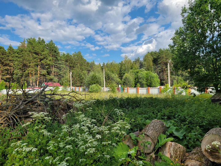 Участок 22 сот. (ИЖС)