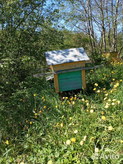 Ульи для пчел