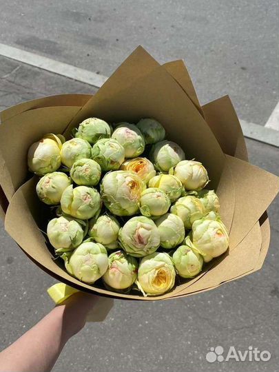 Роза гортензия хризантема 11 15 21 35 45 51 75 101