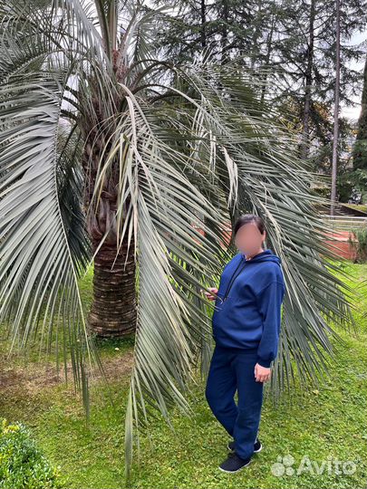 Костюм для беременных и кормящих