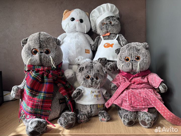 Коты Басики и кошечка Лили ищут новый дом