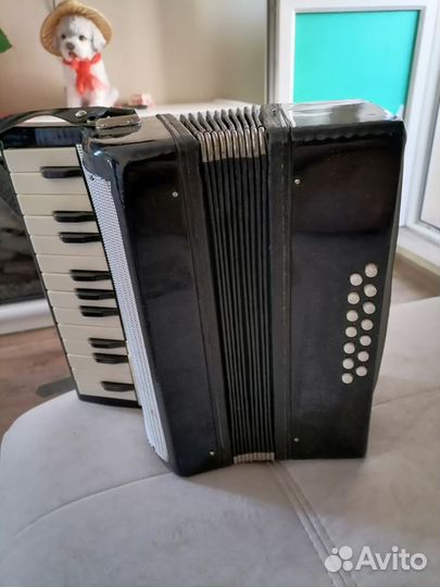 1/4 аккордеона для начинающих