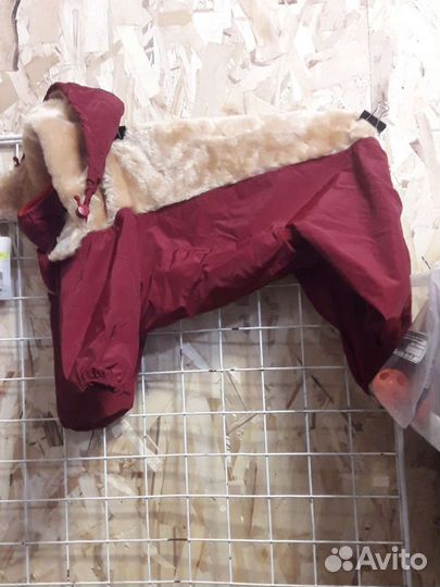 Комбинезон для маленькой собаки зима