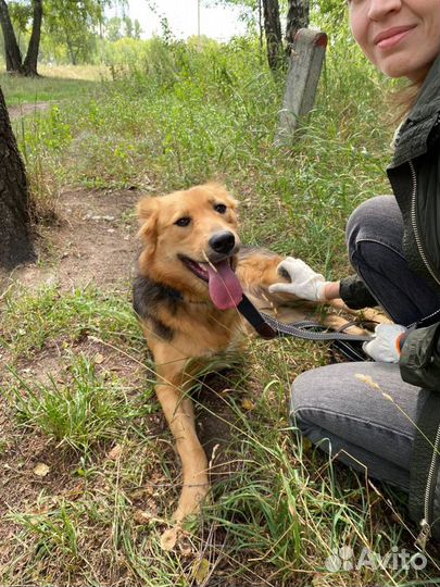 Особенная девочка ищет семью