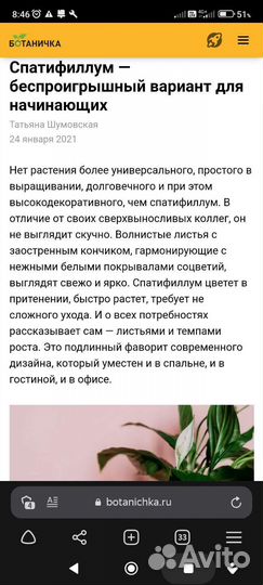 Комнатные цветы