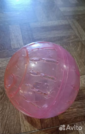 Прогулочный шар для грызунов