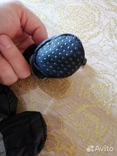 Ботиночки, жилетка, ошейник, шлейка, трусы