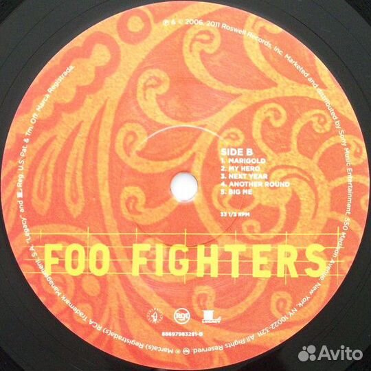 Виниловая пластинка Foo Fighters skin AND bones (1