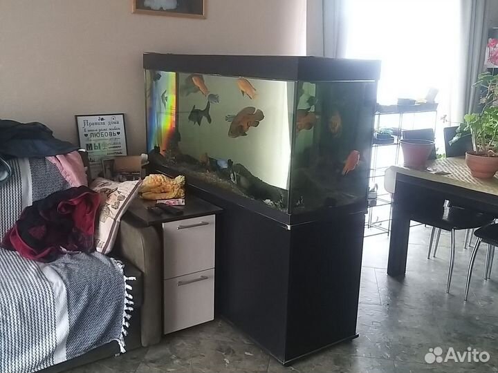 Аквариум с рыбками, тумба, насос 500 литров