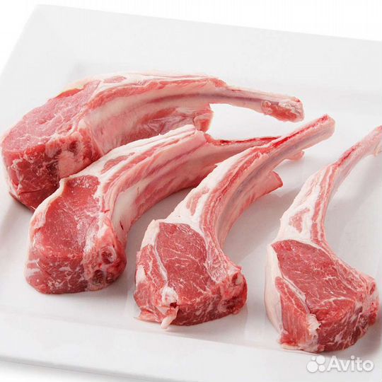 Баранина Овцы Ягнята