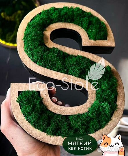 Логотип из стабилизированного мха